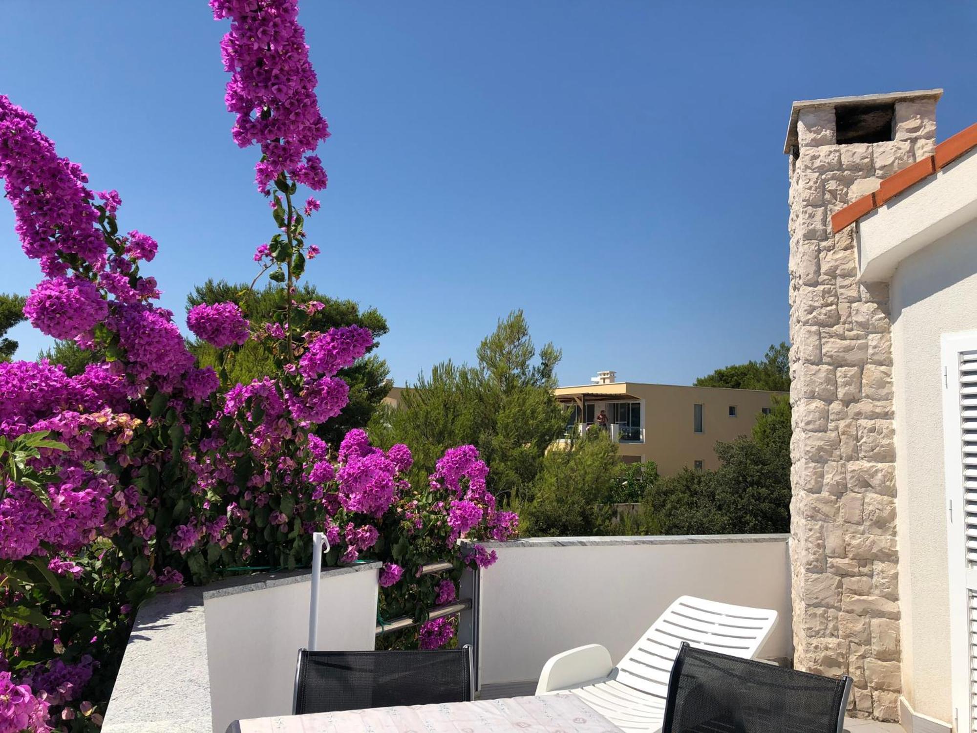 Mirakul Apartments Vir Dış mekan fotoğraf